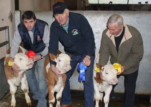 Junior class winners at the NI Fleckvieh Club's dropped calf show in Omagh, included from left: Samuel Moore, first; Jim Hamilton, second; and Dessie Moore, third. Picture: James Beattie.