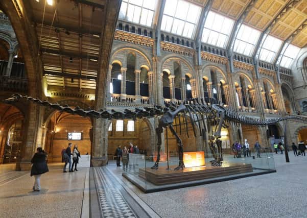File photo dated 14/12/16 of the replica model of Dippy the Diplodocus on display in Hintze Hall at the Natural History Museum, as visitors have just hours left to enjoy the exhibit before work to dismantle it begins. PRESS ASSOCIATION Photo. Issue date: Wednesday January 4, 2017. Photo credit: Yui Mok/PA Wire