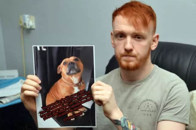 Stephen Flynn appealing for the return of his dog, Tiny