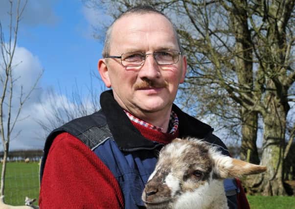 Isaac Crilly Sheep Focus Farmer from Castlederg. Photo: Elaine Hill