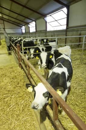 Feed conversion in calves is best during their first eight weeks of life and has a lifelong impact on performance.