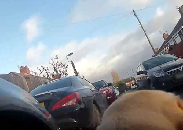 A guide dog user is forced onto the road by parked cars on the pavement