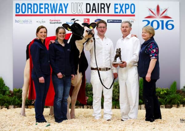 2016 Borderway UK Dairy Expo Champion of Champions Illens Atwood Australia. left to right are Izzy Wright, Ann Laird, Colin laird, Alister Laird and Cathleen Laird