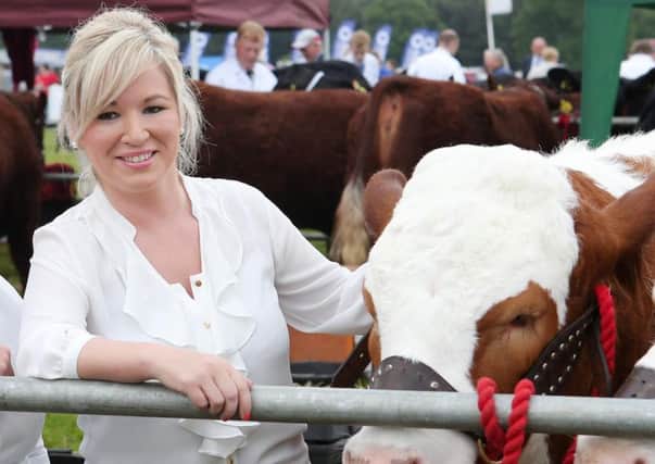 Michelle O'Neill as Agriculture Minister promoted RHI