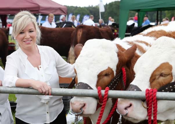 Michelle O'Neill pictured at the Armagh Show in 2014.  Darren Kidd /Presseye.com