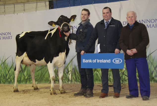 Andrew McLean exhibited the 2,800gns champion Relough Planet Rachael at the January dairy sale in Dungannon. Adding their congratulations are sponsor Richard Primrose, Bank of Ireland; and judge Robert Wallace, Templepatrick.
