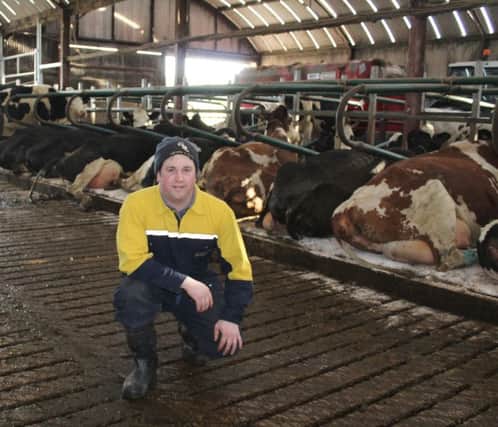 Artigarvan milk producer Albert O'Neill with his cows resting up in EasyFix cubicles behind