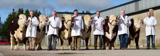 The Elite Hereford Breeders, from left,  Robin Irvine - Graceland herd, David Smyth  Magheraknock,  Raymond Pogue  Glenside,  Adrian Irvine  Fingerpost, James Graham  Richmount and Henry Richmond - Corraback.