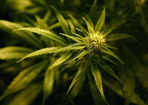 Dublin's Health Minister Simon Harris has given the green light for the use of cannabis in certain circumstances. Photo: Gareth Fuller/PA Wire