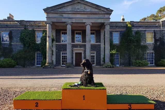 So far the Waggy Races has been held at Castle Ward twice, as well as Mount stewart, Murlough, Portstewart strand, Tollymore Forest, Montalto Estate and Larchfield Estate (Credit: Waggy Races)