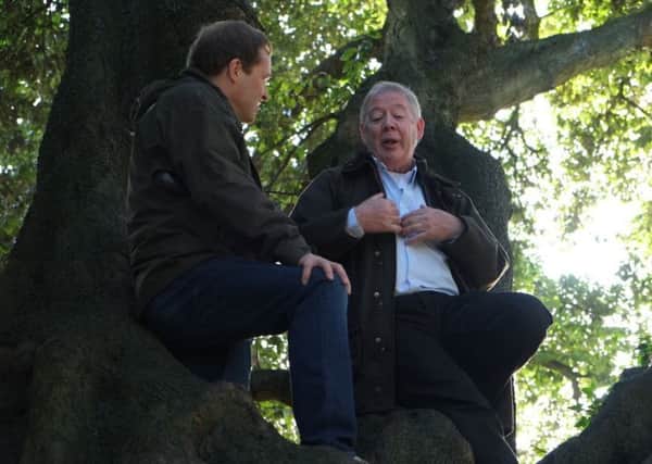 Pictured is Paul Clerkin, a local tree expert in Co Down sitting up the Holm Oak tree, during filming of the 'Tree of the Year With Ardal O'Hanlon' programme in December 2016