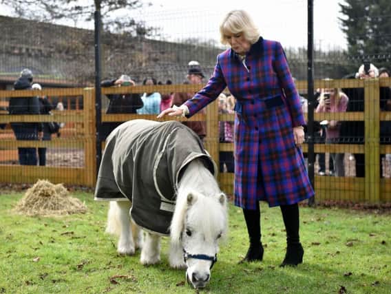 The Duchess of Cornwall, President of the Ebony Horse Club, visits the charity's Brixton riding centre to celebrate the club's 21st anniversary.