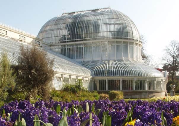 The Palm House in Botanic Gardens, south Belfast