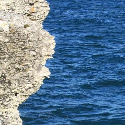 A close up of the limestone cliff at Ballintoy. Can you see The Donald?
