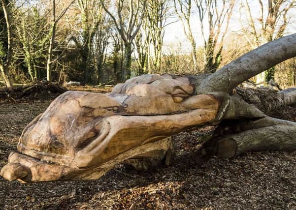 The sleeping dragon at Mount Stewart's new natural play area