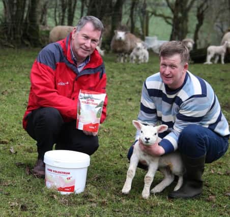 Alistair Sampson, left, of Volac with Larne Texel breeder Nigel Ross and that lambing time essential, Volostrum.  Nigel always uses high protein Volostrum and Lamlac  to ensure the best possible results at  lambing time