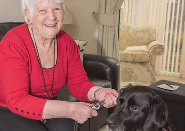 Rita Nicholls, 71, and her guide dog Charlie,