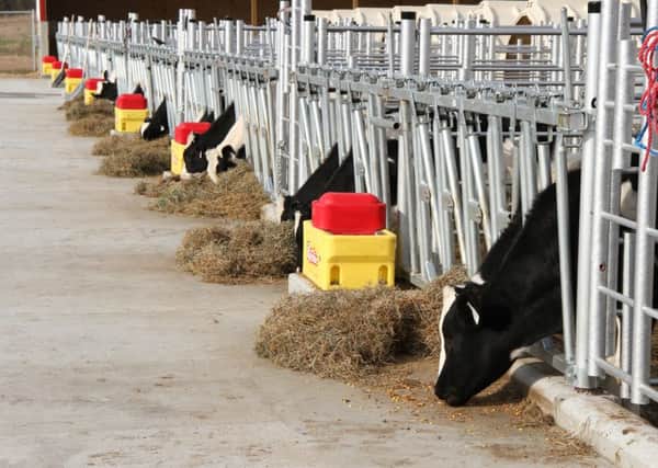 The state of the art calf facility at near Madison, Wisconsin, USA