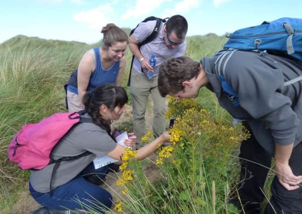Trainees will learn to identify local wildlife, both on land at sea with help from experts, as part of the new training programme delivered by Ulster Wildlife