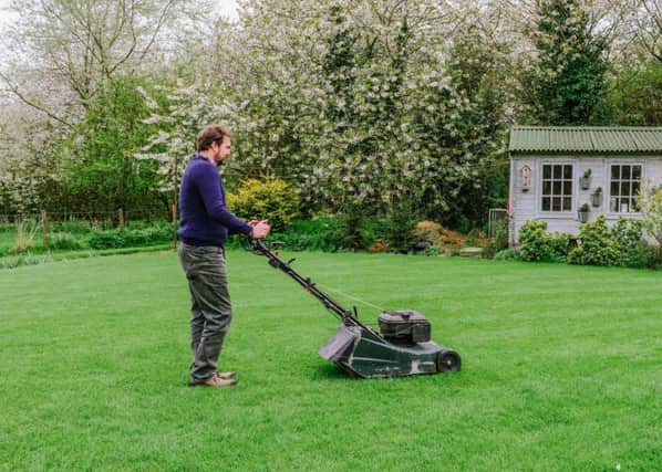 David mowing the lawn