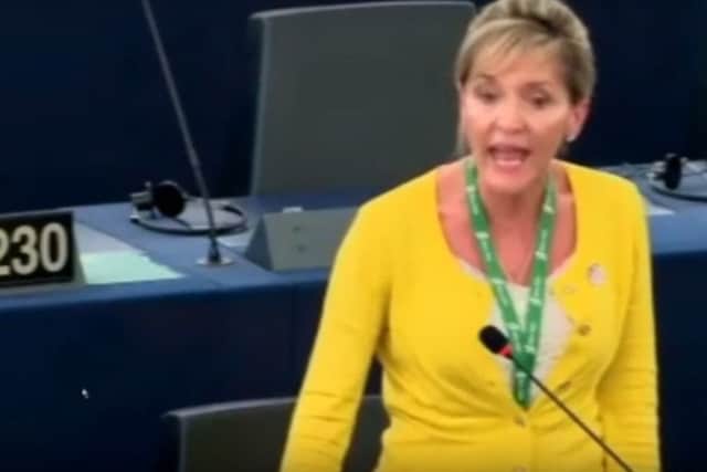Martina Anderson during her speech at the European Parliament on Monday
