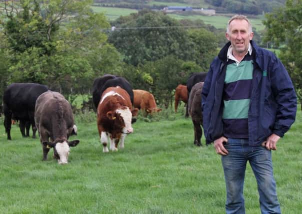 Award winning grassland farm and suckler herd owner John Milligan from Castlewellan is achieving a profit of Ã‚Â£1,100 per hectare.