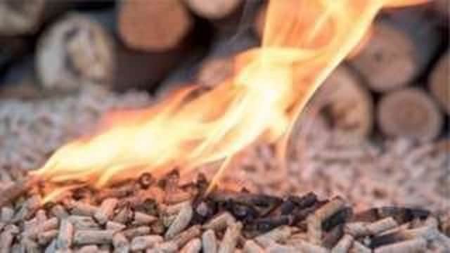 For every Â£1 worth of pellets burned, the RHI scheme pays out Â£1.60
