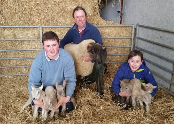 Thomas Kelly with his sons Ryan and Russell and their Suffolk ewe which delivered six lambs on St Patrick's Day