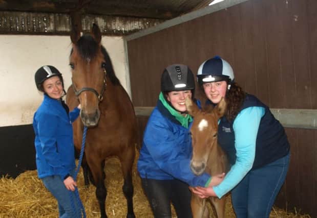 Degree students Melanie Reid, Howth, Co Dublin; Joann Smyth, Ballymoney and Colleen Patterson, Omagh with the college mare Imp Lux and her new filly foal by Verdi