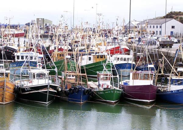 The fishing fleet at Kilkeel harbour in Co Down