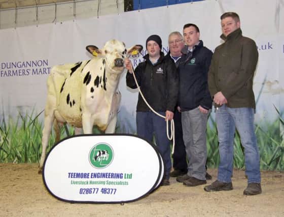 Holstein champion at the March Dairy Sale in Dungannon was Burnhill Sabre Victoria exhibited by Andrew Kennedy on behalf of Charlie Weir, Waringstown. Adding their congratulations are sponsor Adrian Bates, Teemore Engineering; and judge Simon Haffey, Portadown.