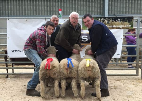 Prize winning pen of pedigree Dorset lambs from T Wright, Ballymoney, also winning second and third place, also pictured are G Wright, R McCully and Sam Carmichael, judge