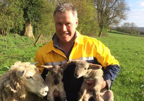 Mark Kelly with his Hampshire cross lambs