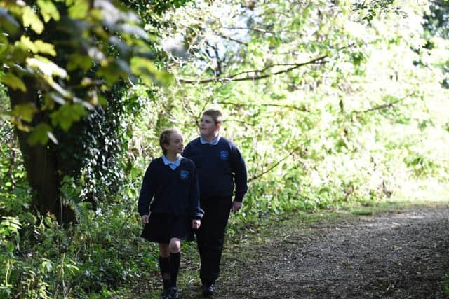 Toni Wilkinson and Andrew Christie of Hazelwood Integrated Primary School take a closer look at Throne Wood