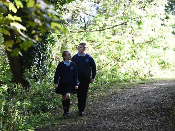 Toni Wilkinson and Andrew Christie of Hazelwood Integrated Primary School take a closer look at Throne Wood