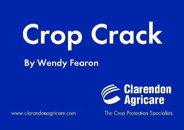Crop Crack logo
