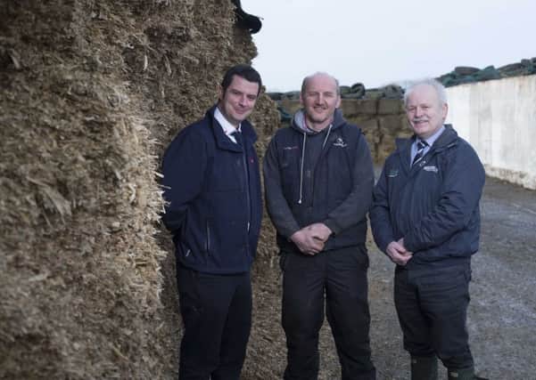 Dromore, Co Down milk producer Neal Pepper, with Martin Scott, right, of Thompsons and Noel McGrath, Volac Forage Specialist.  The Pepper family zero graze over 300 pedigree Holsteins and use Ecosyl additives to make 5,000 tonne of consistently good grass and maize silage