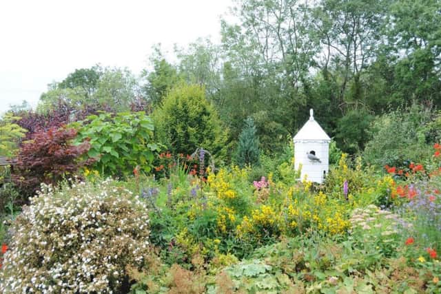 A splash of colour in the Salisbury gardens