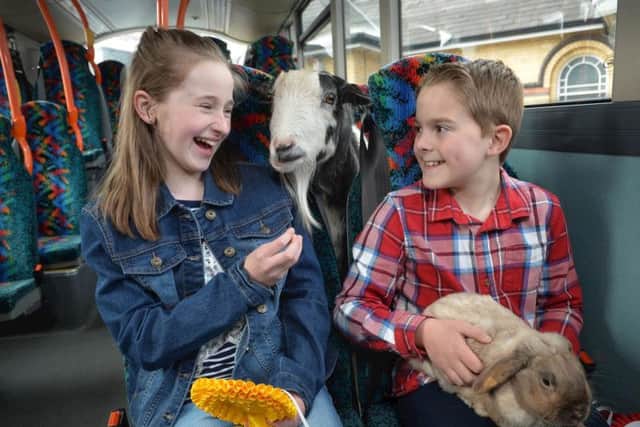 Passengers Sam Geary and Judith Duncan join a couple of 4-legged friends to announce Translinks special bus, coach and train transport plans for this years Balmoral Show, May 10  13
