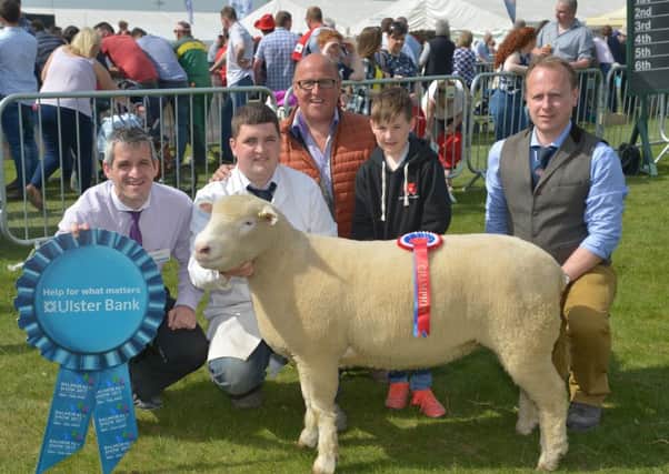 Dorset Horn and Pol champion, left to right, Paul Reid Ulster Bank, Samuel Caldwell (handler), Raymond and Christian Hill from Ballyclare (owner) with judge William Carson