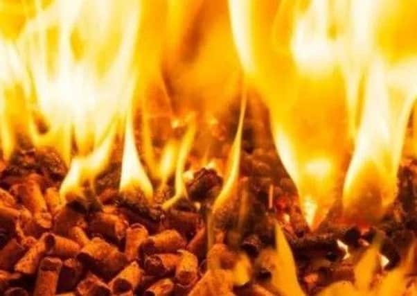Former economy minister Simon Hamilton moved to cut RHI payments earlier this year