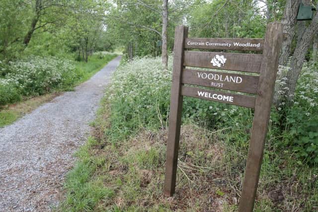 Press Eye Belfast - Northern Ireland 21st May 2017

General view of Corcrain Community Woodland in Portadown where police are investigating the death of a 15-year-old girl due to a drug overdose. 

Picture by Jonathan Porter/PressEye.com