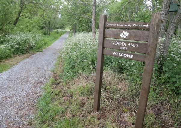Corcrain Community Woodland in Portadown where police are investigating the death of a 15-year-old girl