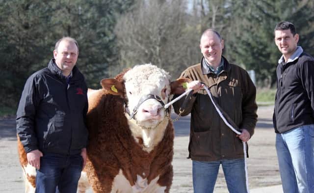 Outlining plans for the NI Simmental Club's evening show and sale at Ballymena are sponors Matthew Cunning, Connon General Merchants, and Mike Frazer, Edenvale Simmental Herd; with vice chairman Conard Fegan.