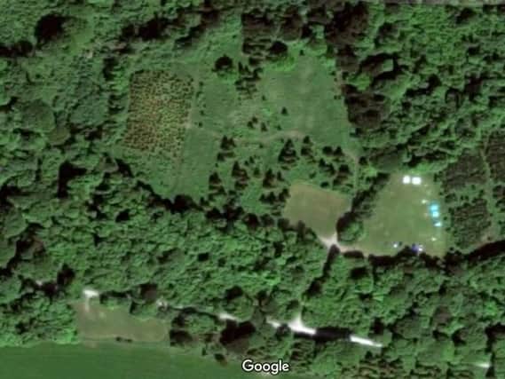 Google satellite image of Castlewellan Forest park