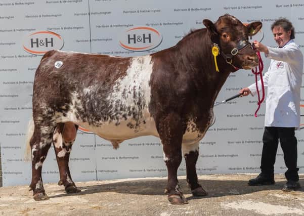 Gilven Journey sold for 8,500gns