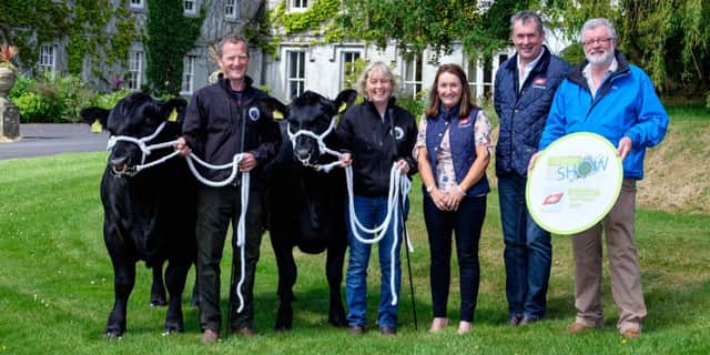 Getting ready for Newry Show on Saturday 24 June are from left: Brian Johnston and Hylda Mills, Scarva House; Ann Cunningham and Niall Kearney, ABP and Brian Lockhart, Newry Show. Photograph: Columba O'Hare