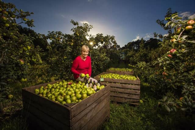 Helen Troughton of Armagh Apple Farm, based outside Portadown