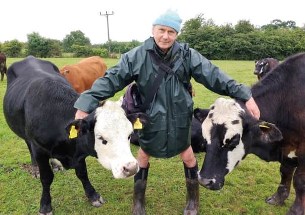 Jay Wilde with his cows