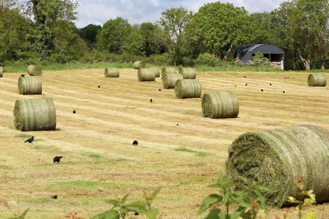 Silage